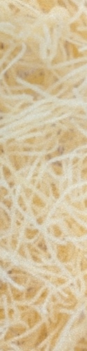 Design 372524