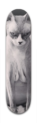 Design 374459 Skateboards, Longboards and Grip Tape