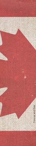 Design 379850 Skateboards, Longboards and Grip Tape