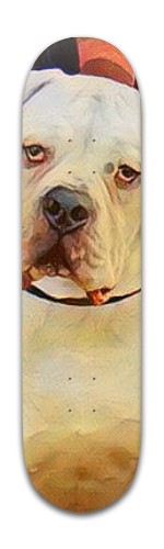 Design 380097 Skateboards, Longboards and Grip Tape