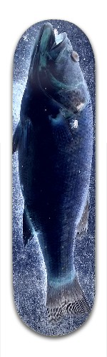 Design 381019