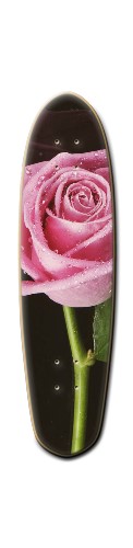 Design 381339 Skateboards, Longboards and Grip Tape