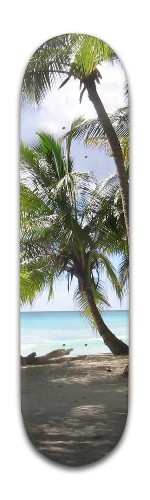 Design 382248 Skateboards, Longboards and Grip Tape Image