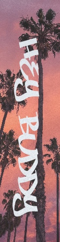 Design 384105 Skateboards, Longboards and Grip Tape