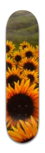 Design 384617 Skateboards, Longboards and Grip Tape