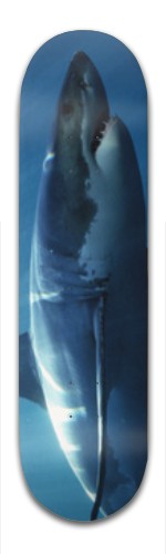 Design 385518 Skateboards, Longboards and Grip Tape