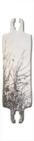 Design 388198 Skateboards, Longboards and Grip Tape