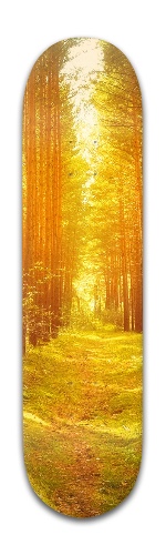 Design 388899