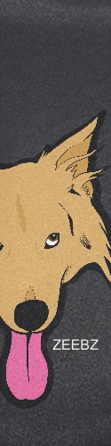 ZEEBZ Skateboards, Longboards and Grip Tape Image