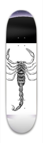 Design 389666 Skateboards, Longboards and Grip Tape Image