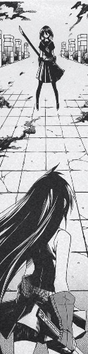 Akame vs Kurome Skateboards, Longboards and Grip Tape Image