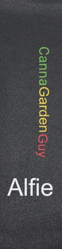 Design 393120