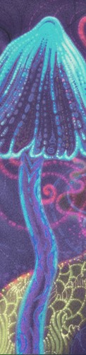 Design 393123 Skateboards, Longboards and Grip Tape