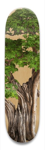 Design 393634 Skateboards, Longboards and Grip Tape