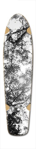 Design 393749 Skateboards, Longboards and Grip Tape