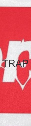 Design 394358 Skateboards, Longboards and Grip Tape