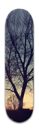 Design 397484 Skateboards, Longboards and Grip Tape Image