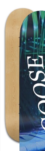 Design 398587 Skateboards, Longboards and Grip Tape Image