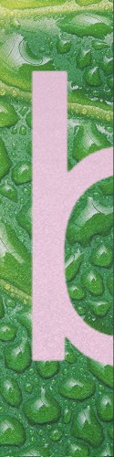Design 400836 Skateboards, Longboards and Grip Tape