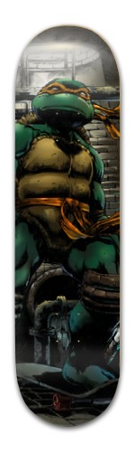 turtle deck Skateboards, Longboards and Grip Tape Image