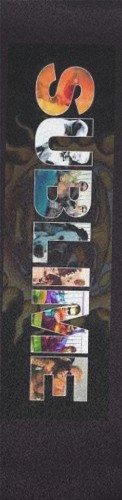 Design 403905 Skateboards, Longboards and Grip Tape