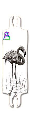 Flamingo Skateboards, Longboards and Grip Tape Image