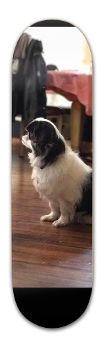 Design 404032 Skateboards, Longboards and Grip Tape Image