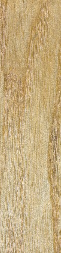 Design 404513 Skateboards, Longboards and Grip Tape