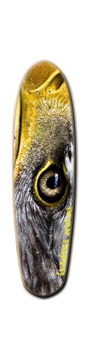 Design 404627 Skateboards, Longboards and Grip Tape Image