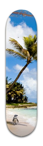 Design 405468 Skateboards, Longboards and Grip Tape