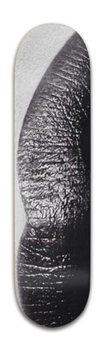Design 407901 Skateboards, Longboards and Grip Tape