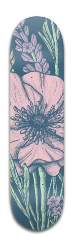 Design 409145 Skateboards, Longboards and Grip Tape