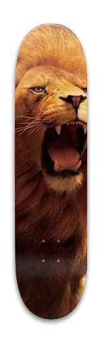 Design 409677 Skateboards, Longboards and Grip Tape