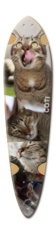 Design 410782 Skateboards, Longboards and Grip Tape