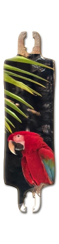 Design 410892 Skateboards, Longboards and Grip Tape