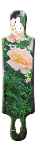 Design 412379 Skateboards, Longboards and Grip Tape