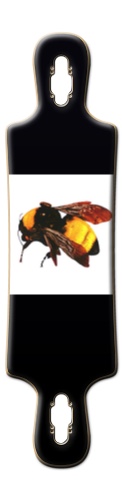 Design 414271 Skateboards, Longboards and Grip Tape Image