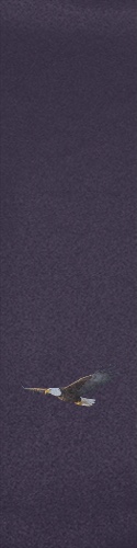 Design 416947