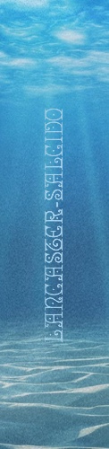 Design 417298 Skateboards, Longboards and Grip Tape
