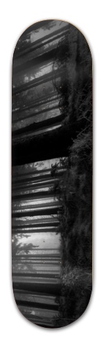 Design 417493 Skateboards, Longboards and Grip Tape