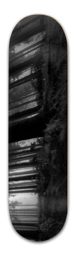 Design 417494 Skateboards, Longboards and Grip Tape