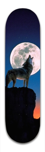 Design 41753 Skateboards, Longboards and Grip Tape Image