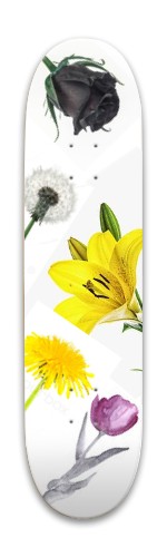 Design 419745 Skateboards, Longboards and Grip Tape Image