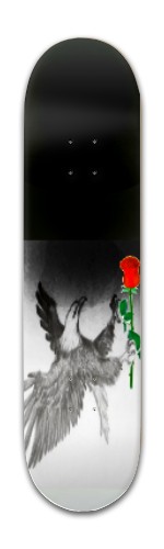 Design 420061 Skateboards, Longboards and Grip Tape