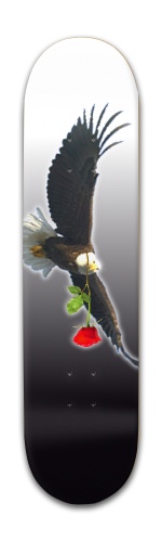 Design 420062
