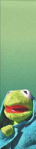 kermit the board
