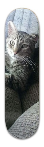 Design 420444 Skateboards, Longboards and Grip Tape Image