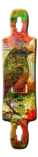 Design 422269 Skateboards, Longboards and Grip Tape