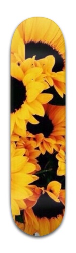 Design 423865 Skateboards, Longboards and Grip Tape Image