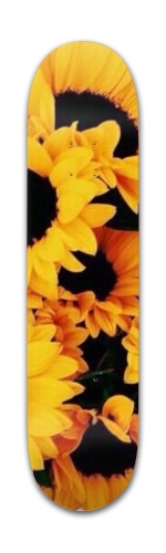 Design 423866 Skateboards, Longboards and Grip Tape Image